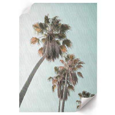 Wall print Tropical palm trees