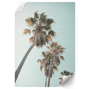 Wall print with tropical palm trees