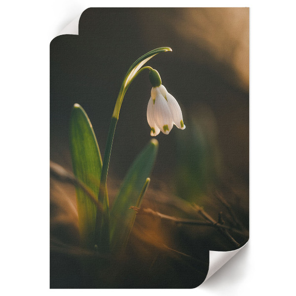 Wall art featuring a spring snowdrop