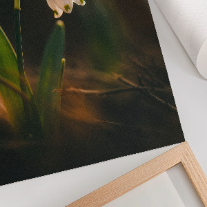 Wall art featuring a spring snowdrop