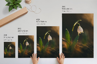 Wall art Spring snowdrop