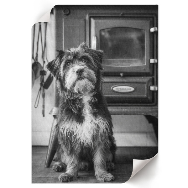 Wall print Retro dog
