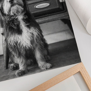 Wall print Retro dog