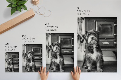 Wall print Retro dog