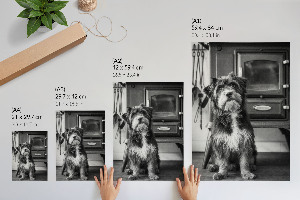 Wall print Retro dog
