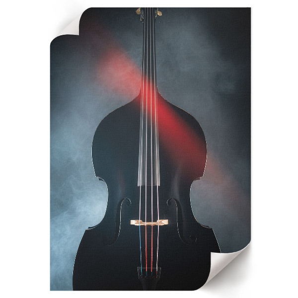 Poster Black violin
