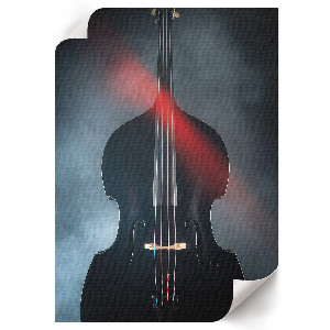 Poster of a black violin