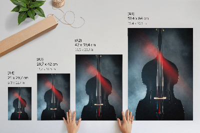 Poster Black violin