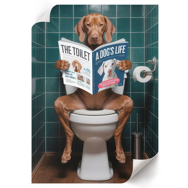 Wall print Dog in the toilet