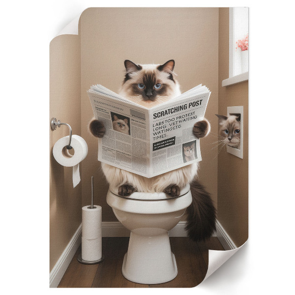 Art print Cat in the toilet