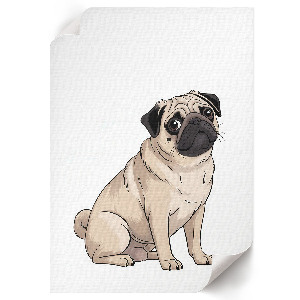 Decorative poster featuring a pug dog