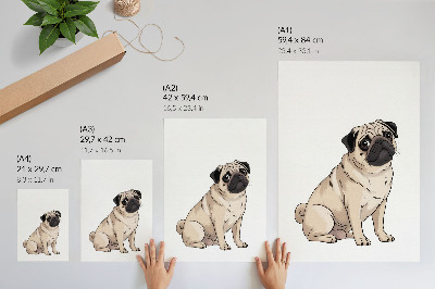 Decorative poster Pug dog