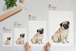 Decorative poster Pug dog