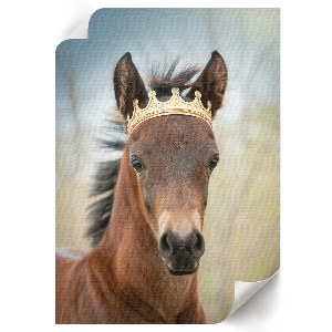 Poster of a horse wearing a crown