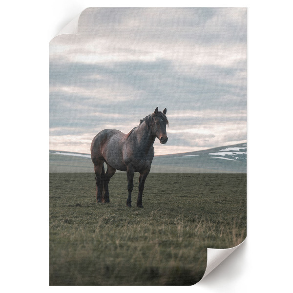 Wall print Morning calm