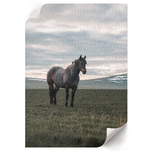 Wall print Morning calm