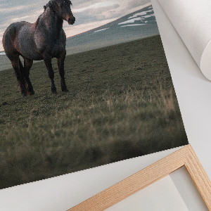 Wall print Morning calm