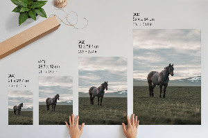 Wall print Morning calm