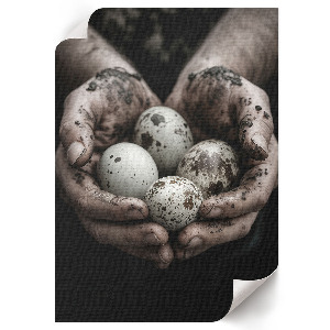 Wall print featuring natural eggs