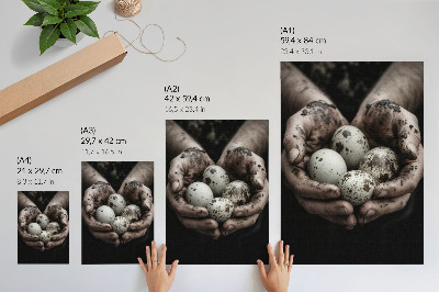 Wall print Natural eggs