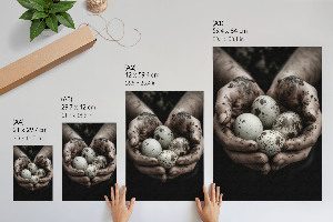 Wall print Natural eggs