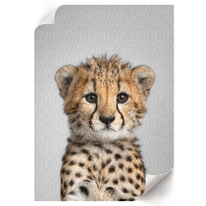 Decorative poster featuring a young cheetah
