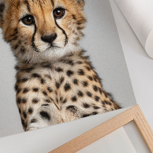Decorative poster Young cheetah