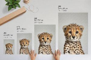 Decorative poster Young cheetah