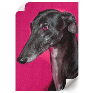 Wall art featuring a dog portrait