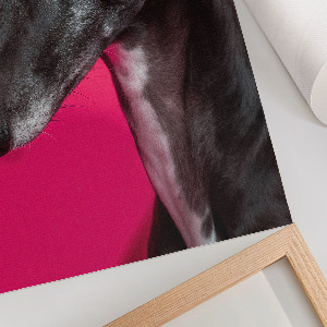 Wall art Dog portrait