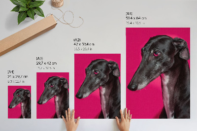 Wall art Dog portrait