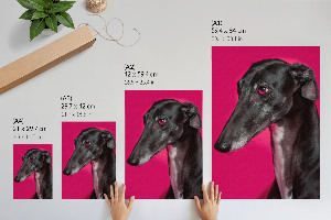 Wall art Dog portrait