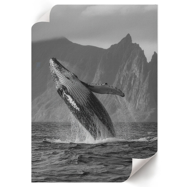 Decorative poster Whale Jump