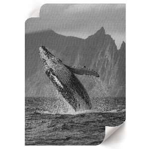 Decorative poster Whale Jump