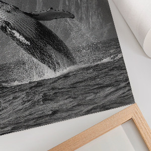 Decorative poster Whale Jump