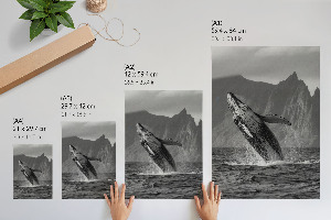 Decorative poster Whale Jump