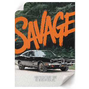 Poster Savage car