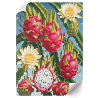 Decorative poster The exoticism of nature