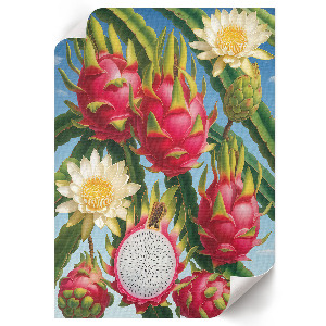 Decorative poster depicting the exotic beauty of nature