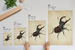 Wall print stag beetle