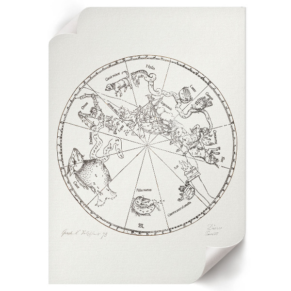 Wall art showing the southern hemisphere of the globe