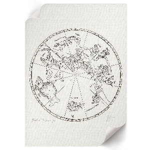 Wall art showing the southern hemisphere of the globe