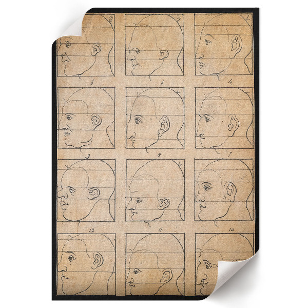 Decorative poster Twelve profiles