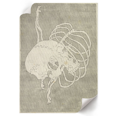 Poster Skull