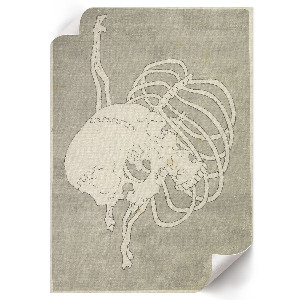 Poster featuring a skull