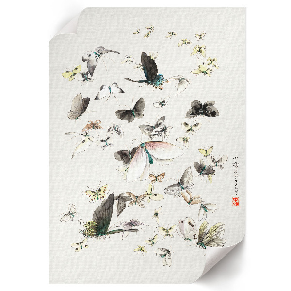 Decorative poster Butterflies and moths