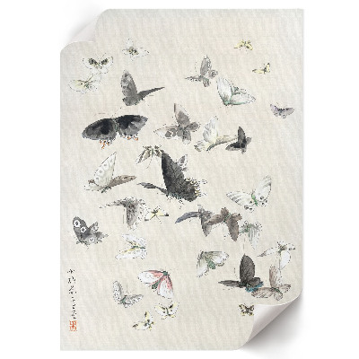 Wall art Butterflies and moths