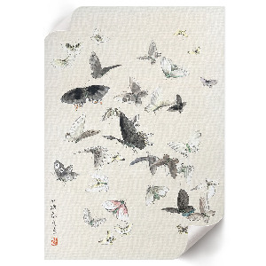Wall art featuring butterflies and moths