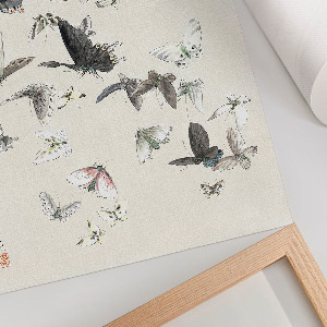 Wall art Butterflies and moths