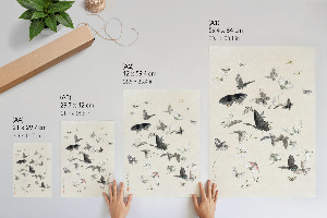 Wall art Butterflies and moths